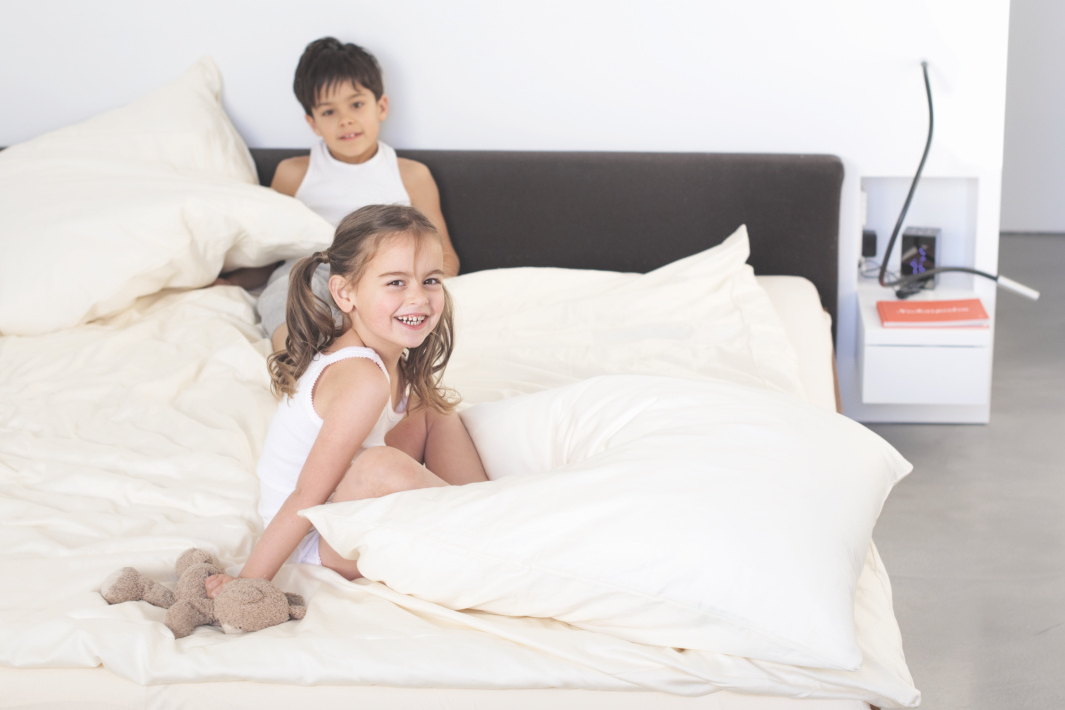 [Translate to Nederlands:] De mechanische ventilatie reinigen is nodig voor schone lucht.