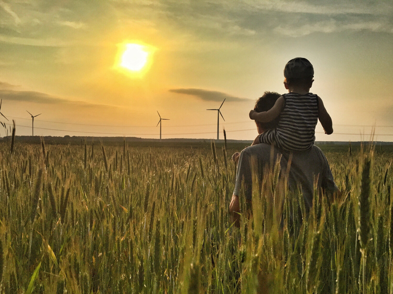 Sunset, wheat field, father with child, sustainable, Windmill
